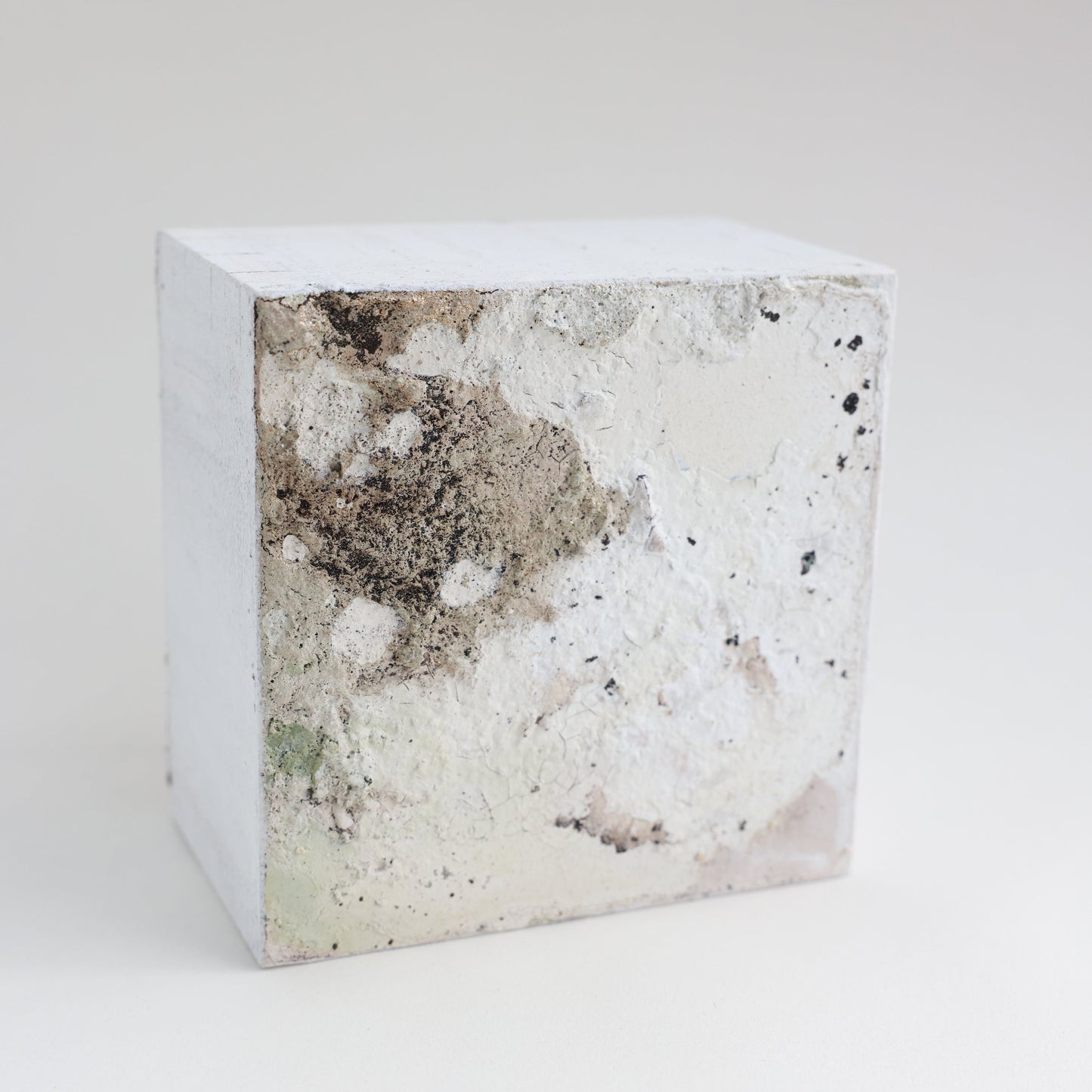 Cube "Forest" No.02