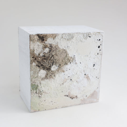 Cube "Forest" No.02