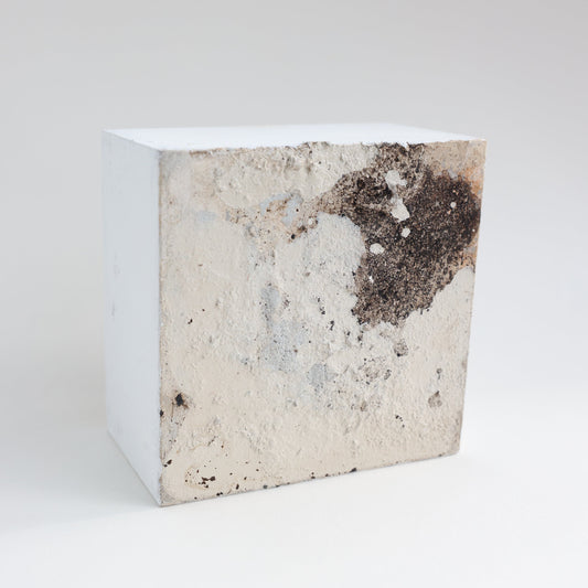 Cube "Coast" No.03